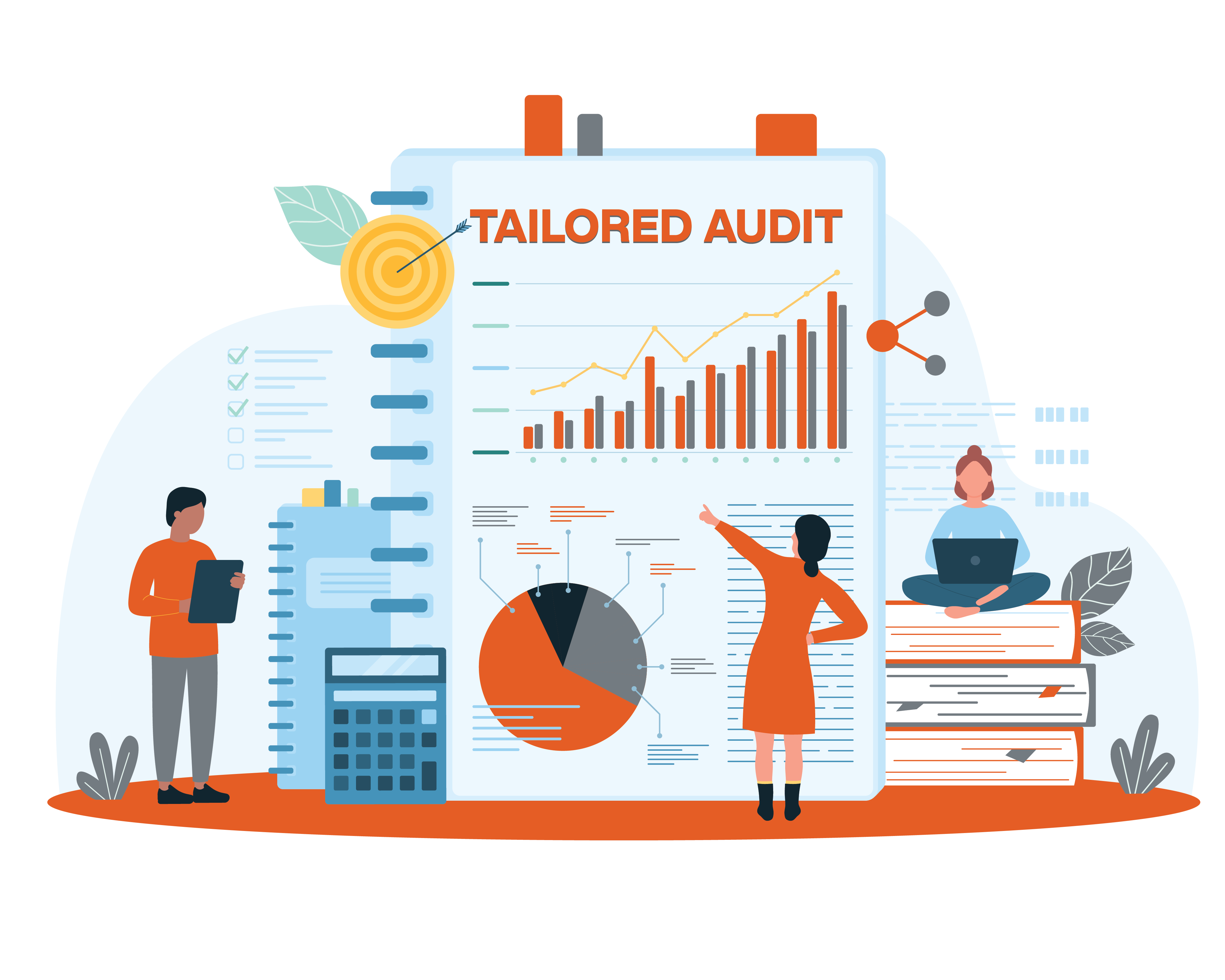 Tailored Audit